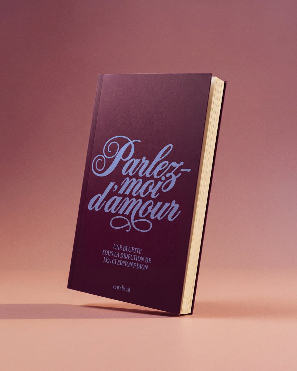 Le livre Parlez-moi d'amour, couverture bordeaux au lettrage bleu, posé sur fond rose.